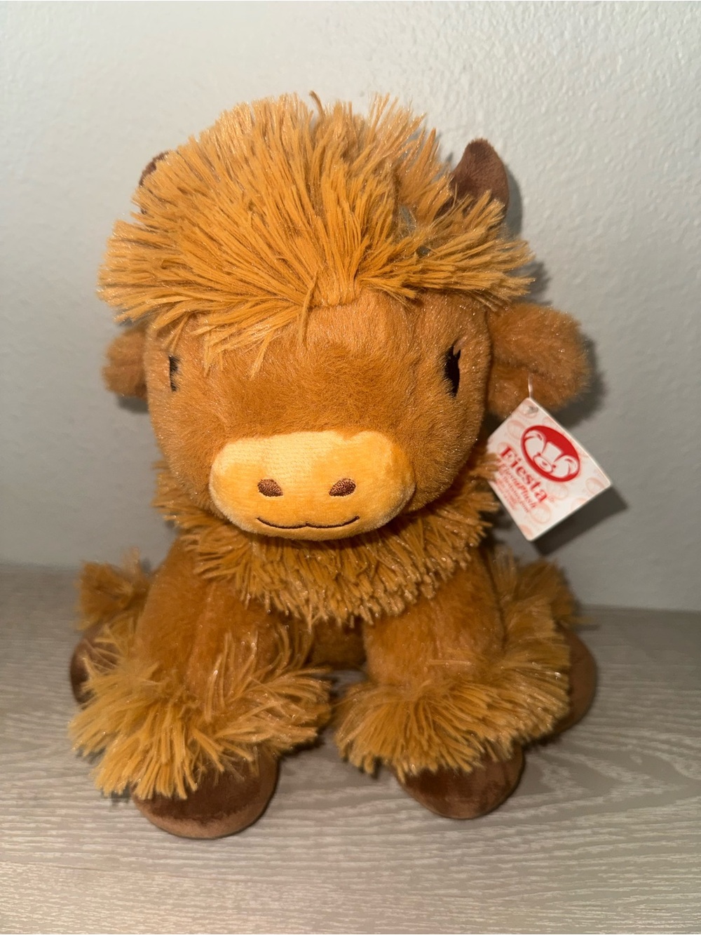 Fiesta -Daisy fluffy brown Highland cow with shaggy fur